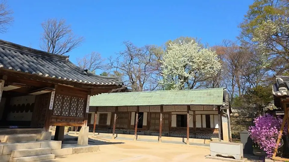 Changdeokgung Palace Complete Guide: Tickets, Secret Garden & Tips (2026)