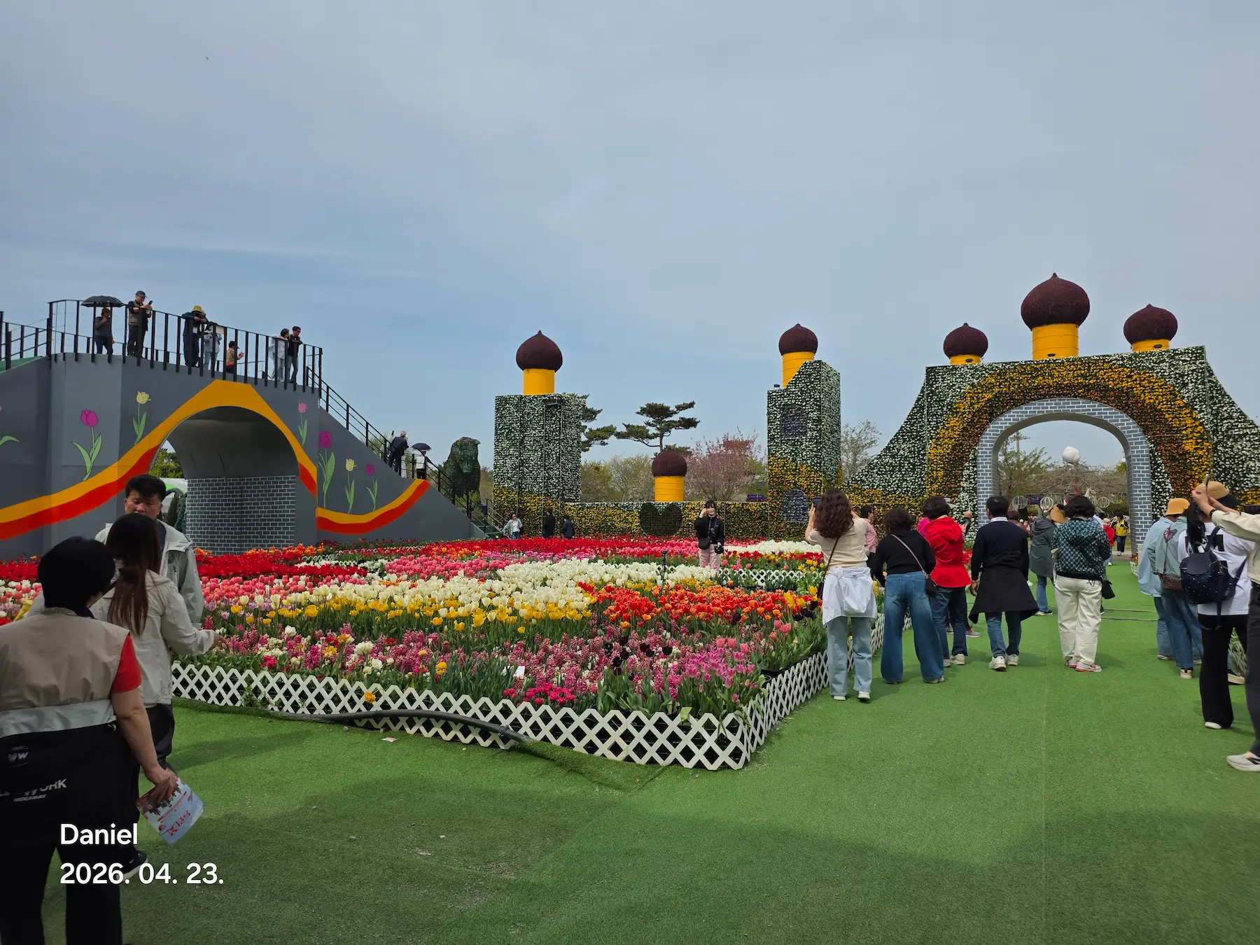 Taean Tulip Festival 2026: Stunning Blooms, Insider Tips & Visit Guide