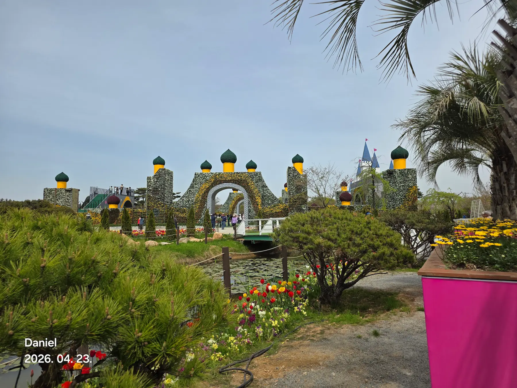 Taean Tulip Festival 2026: Stunning Blooms, Insider Tips & Visit Guide