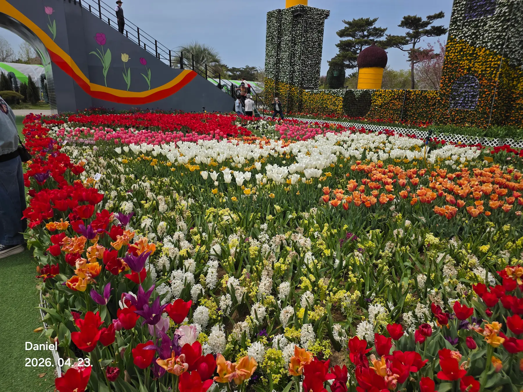 Taean Tulip Festival 2026: Stunning Blooms, Insider Tips & Visit Guide