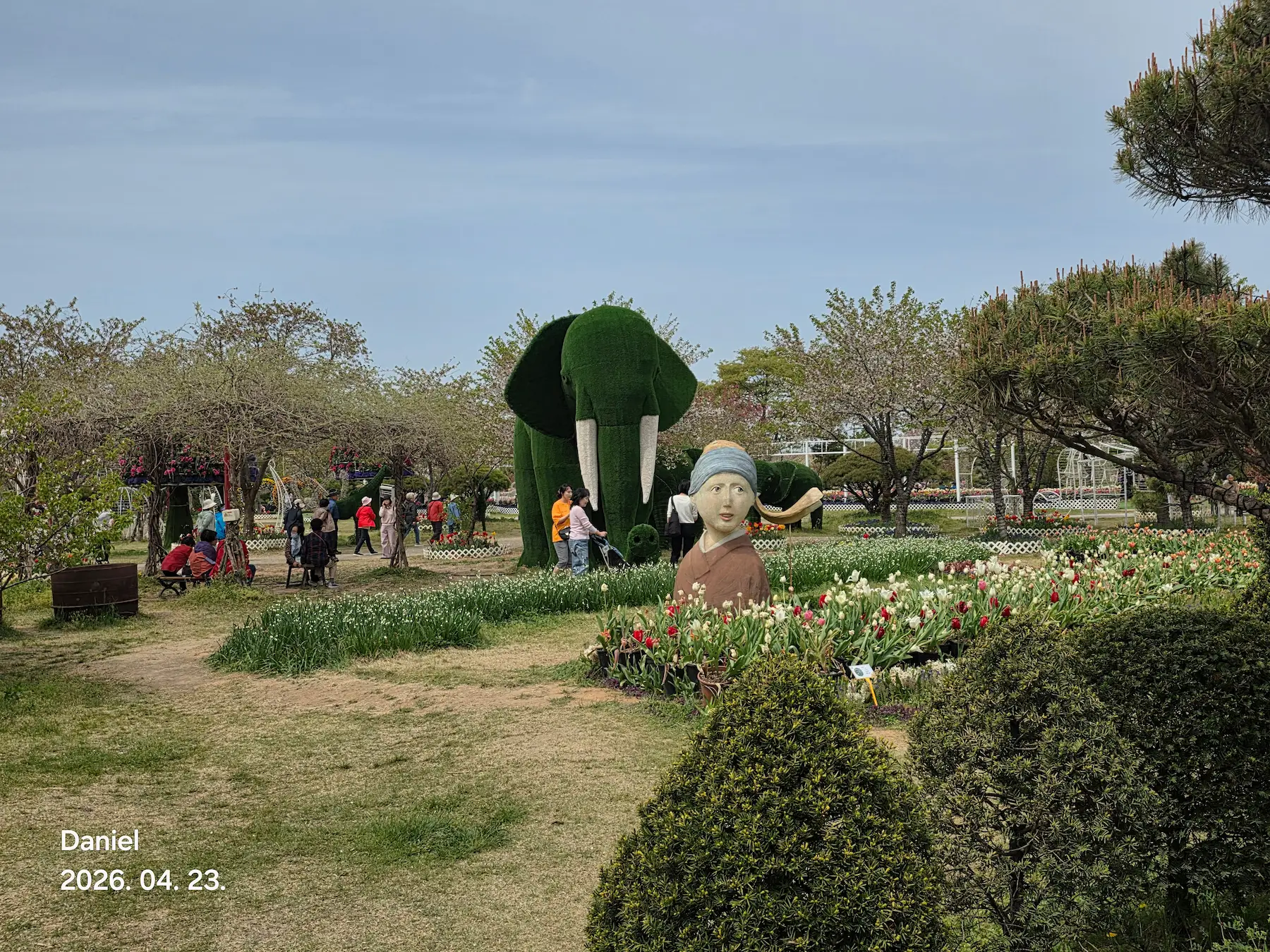 Taean Tulip Festival 2026: Stunning Blooms, Insider Tips & Visit Guide