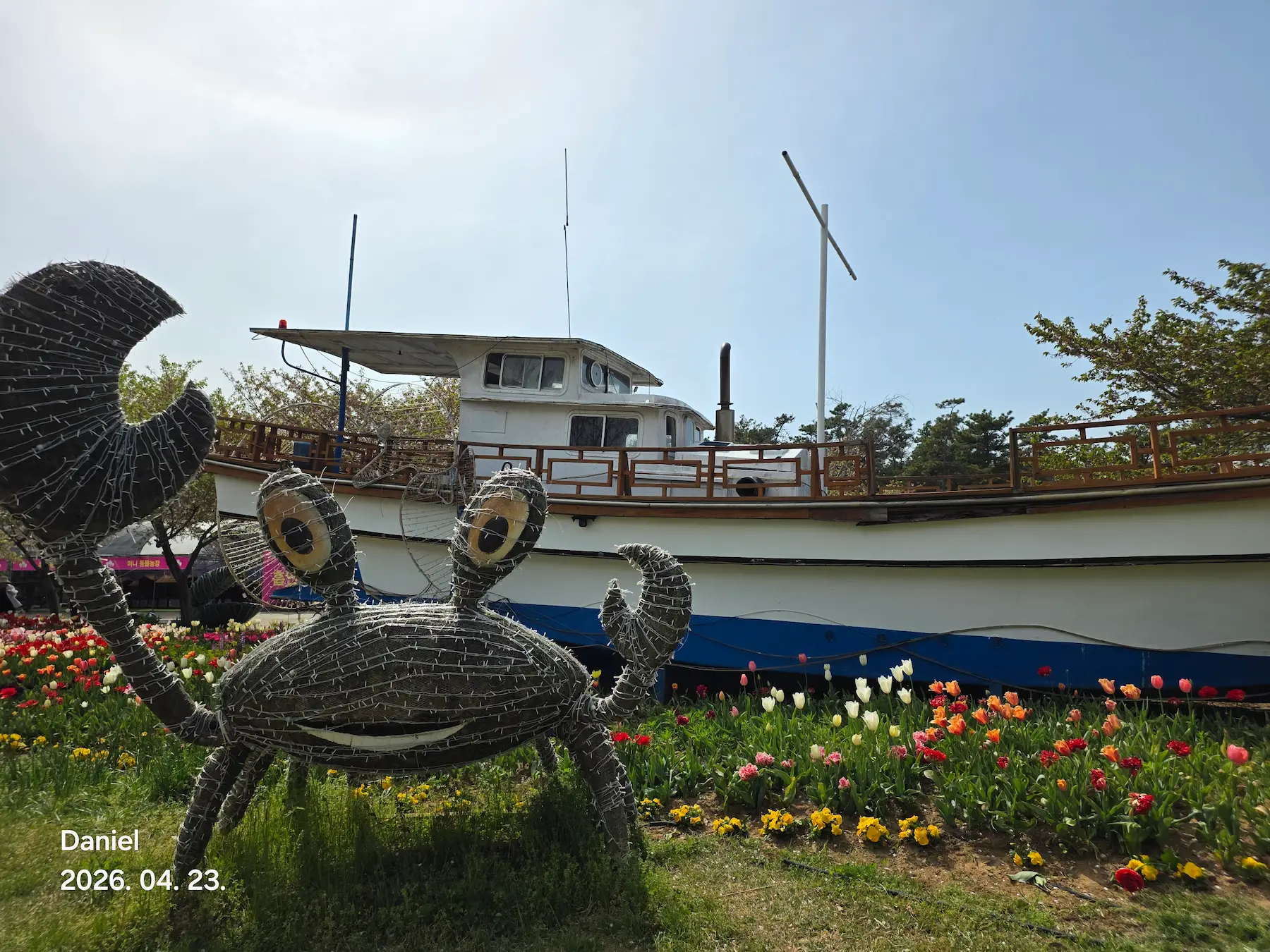 Taean Tulip Festival_Characters