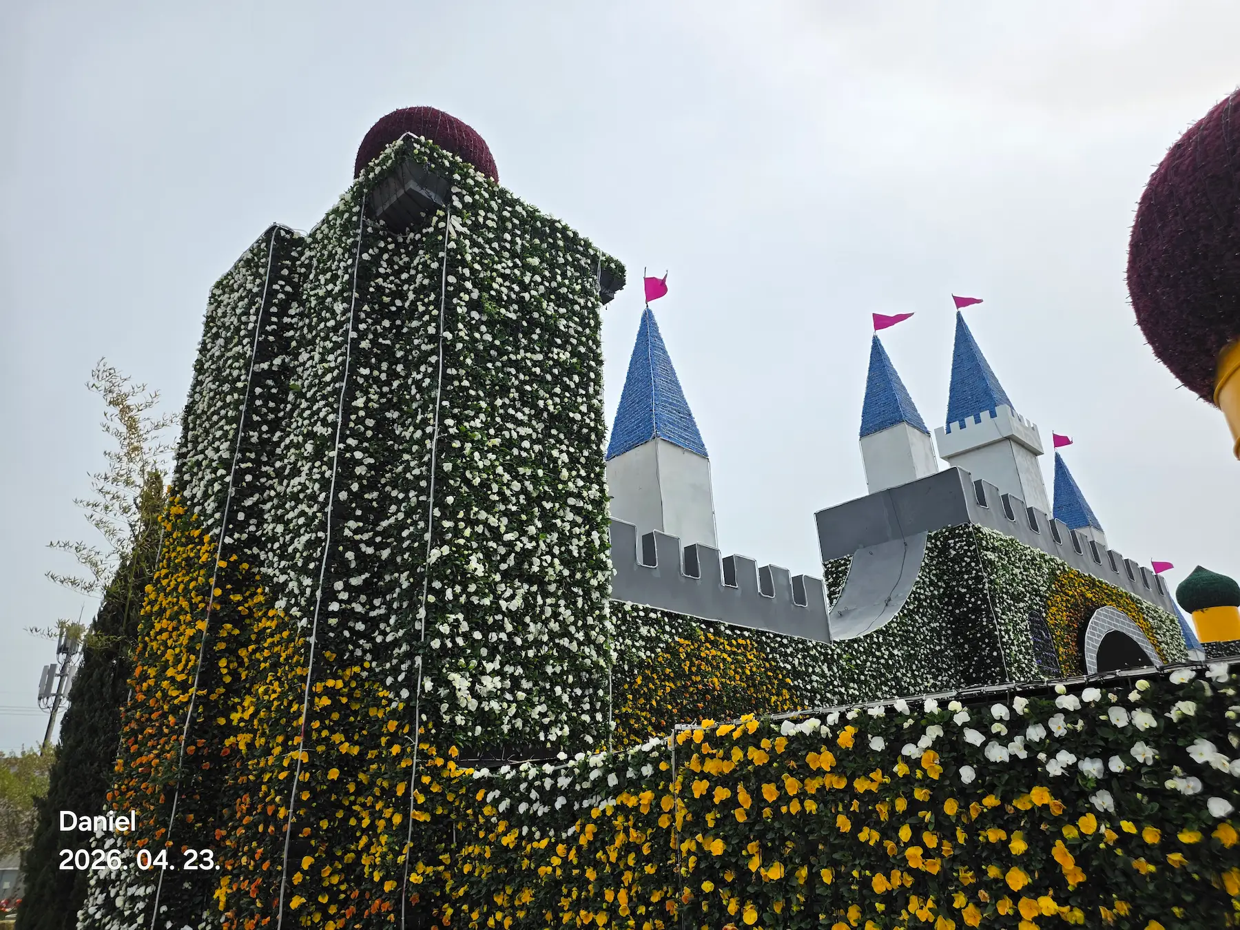 Taean Tulip Festival 2026: Stunning Blooms, Insider Tips & Visit Guide