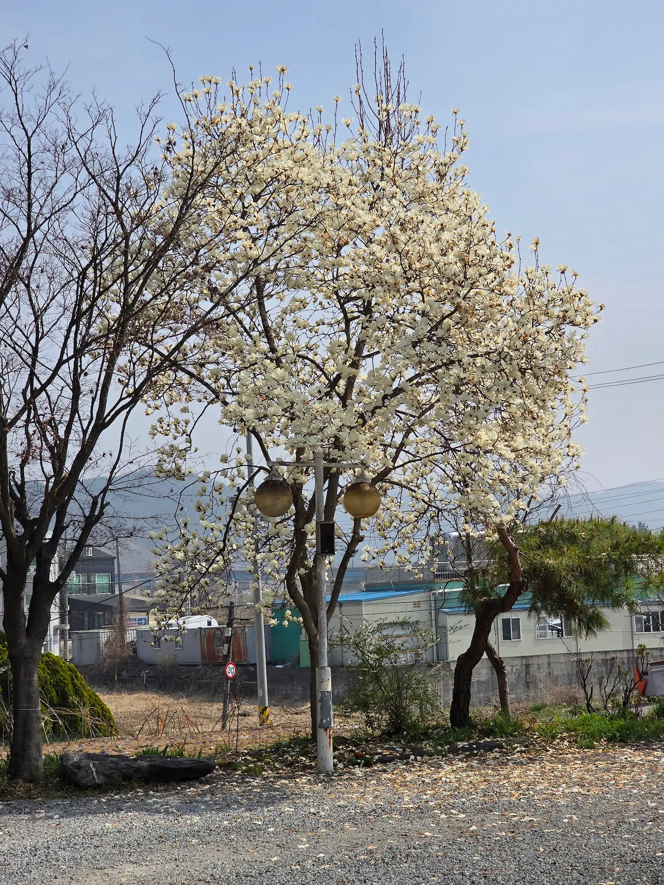 Ultimate Gongju Travel Guide: Discover Korea's Most Captivating Ancient Baekje Capital