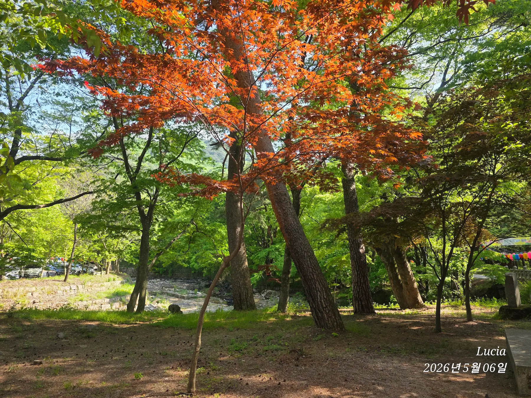 Beopjusa Temple: A Breathtaking UNESCO World Heritage Site in Korea