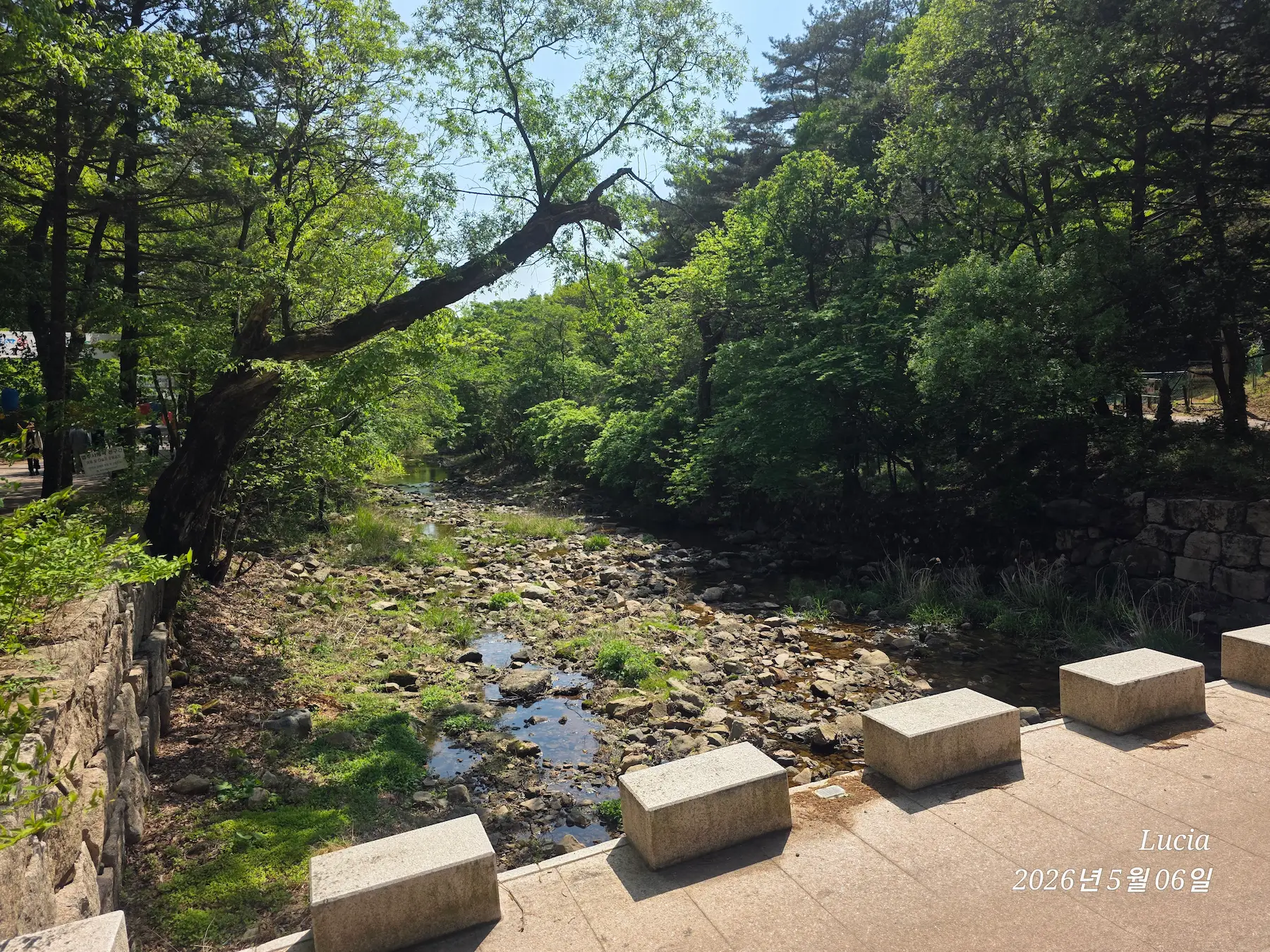 Beopjusa Temple: A Breathtaking UNESCO World Heritage Site in Korea
