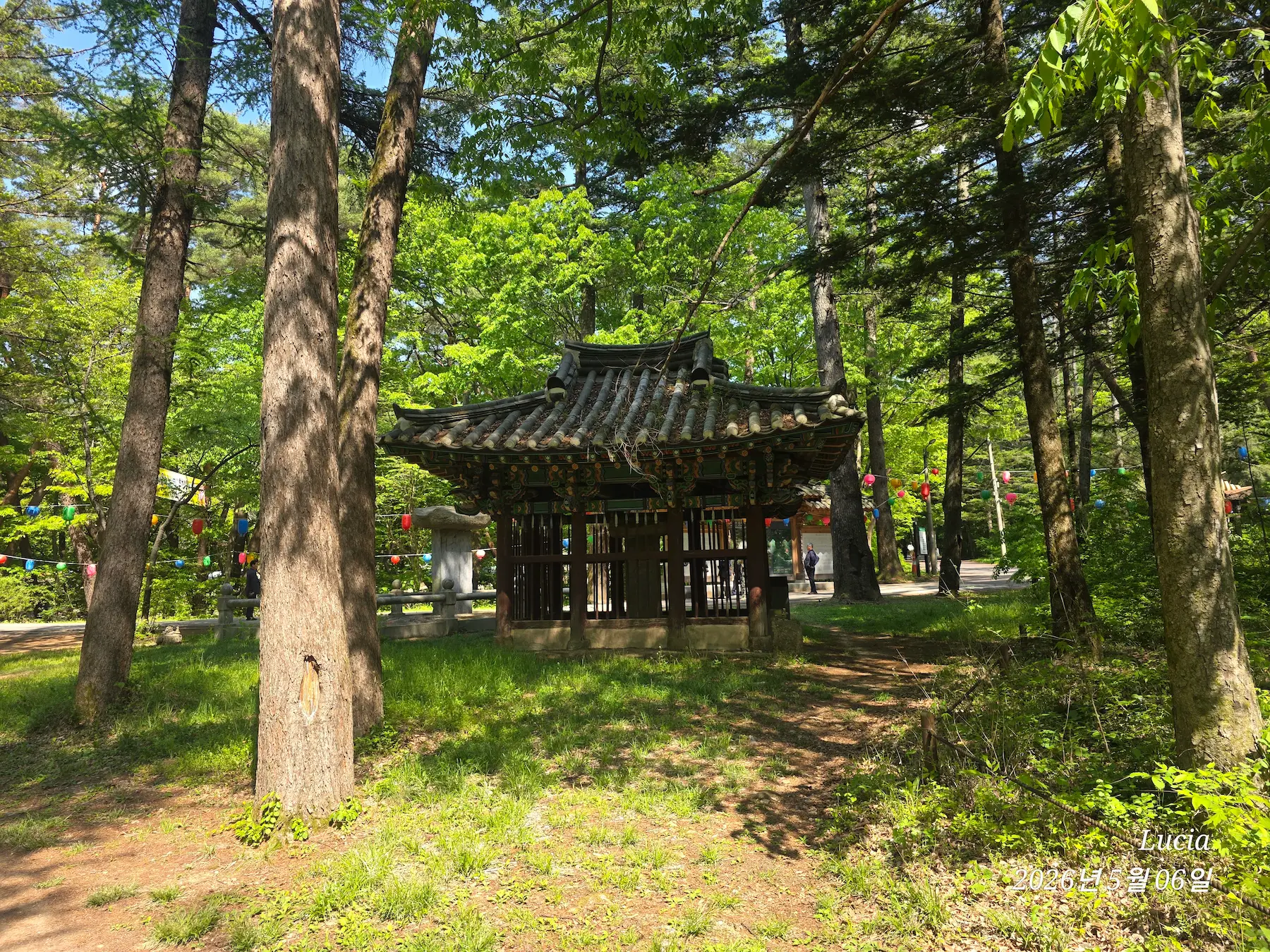 Beopjusa Temple: A Breathtaking UNESCO World Heritage Site in Korea