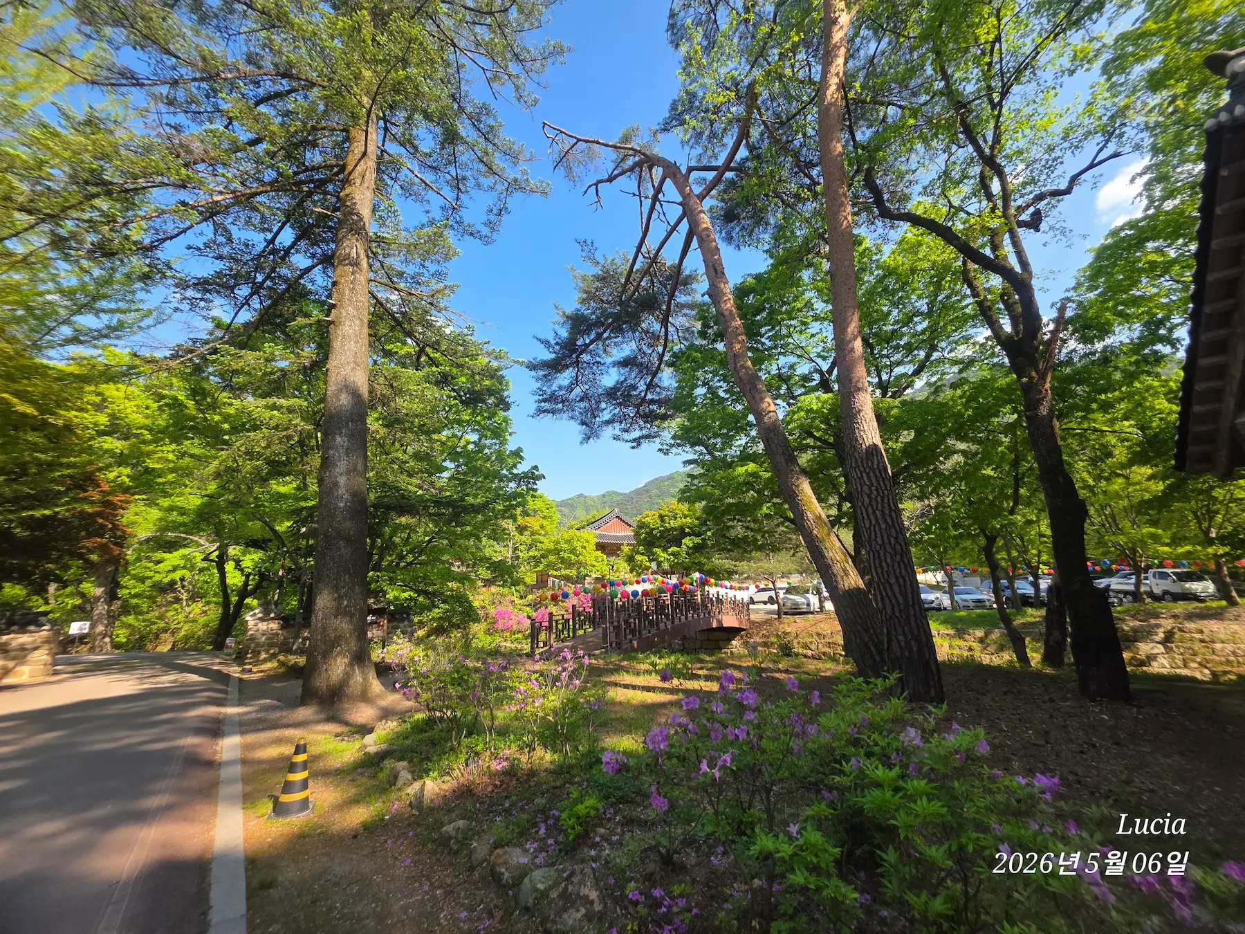 Beopjusa Temple: A Breathtaking UNESCO World Heritage Site in Korea