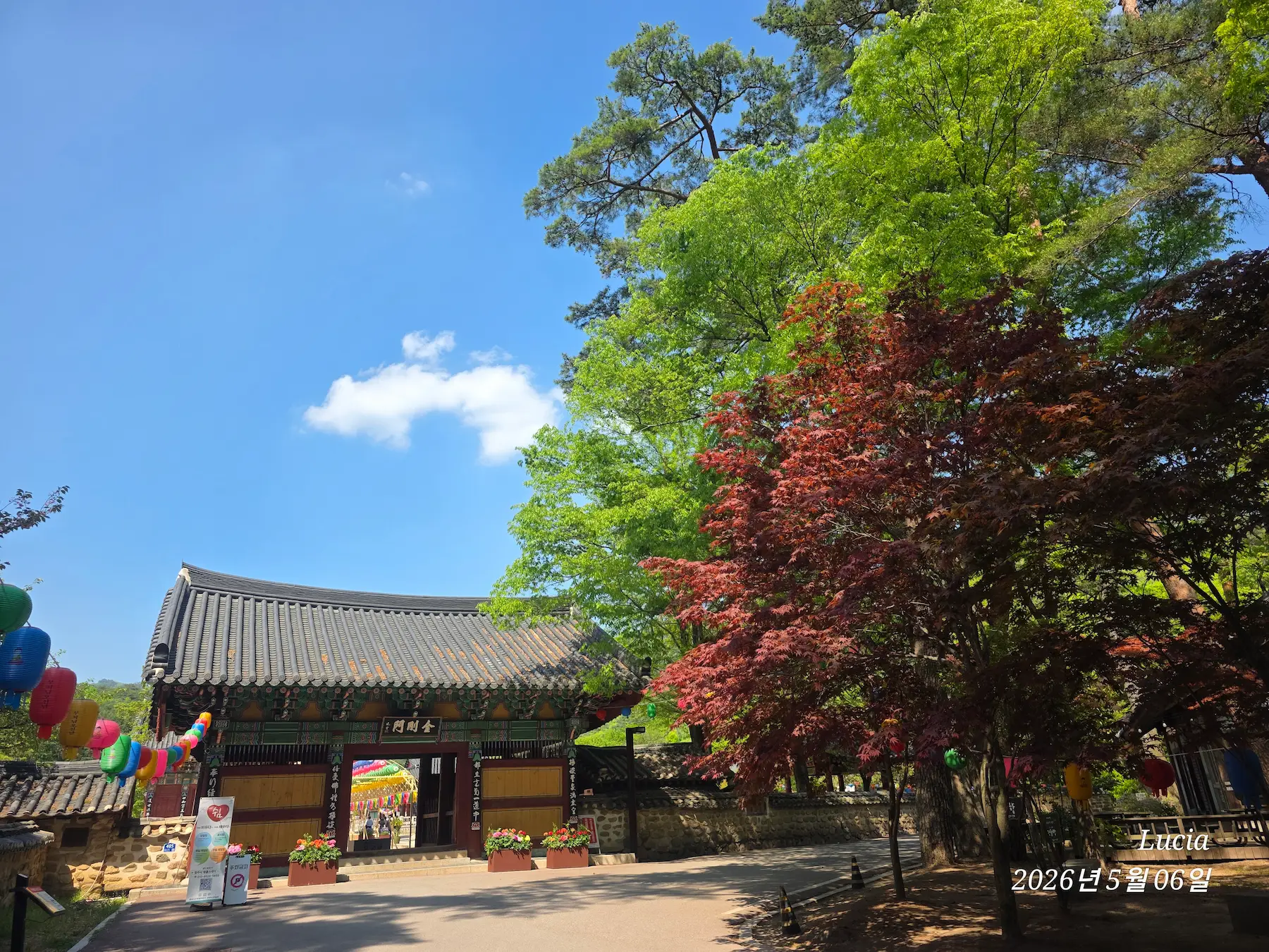 Beopjusa Temple: A Breathtaking UNESCO World Heritage Site in Korea