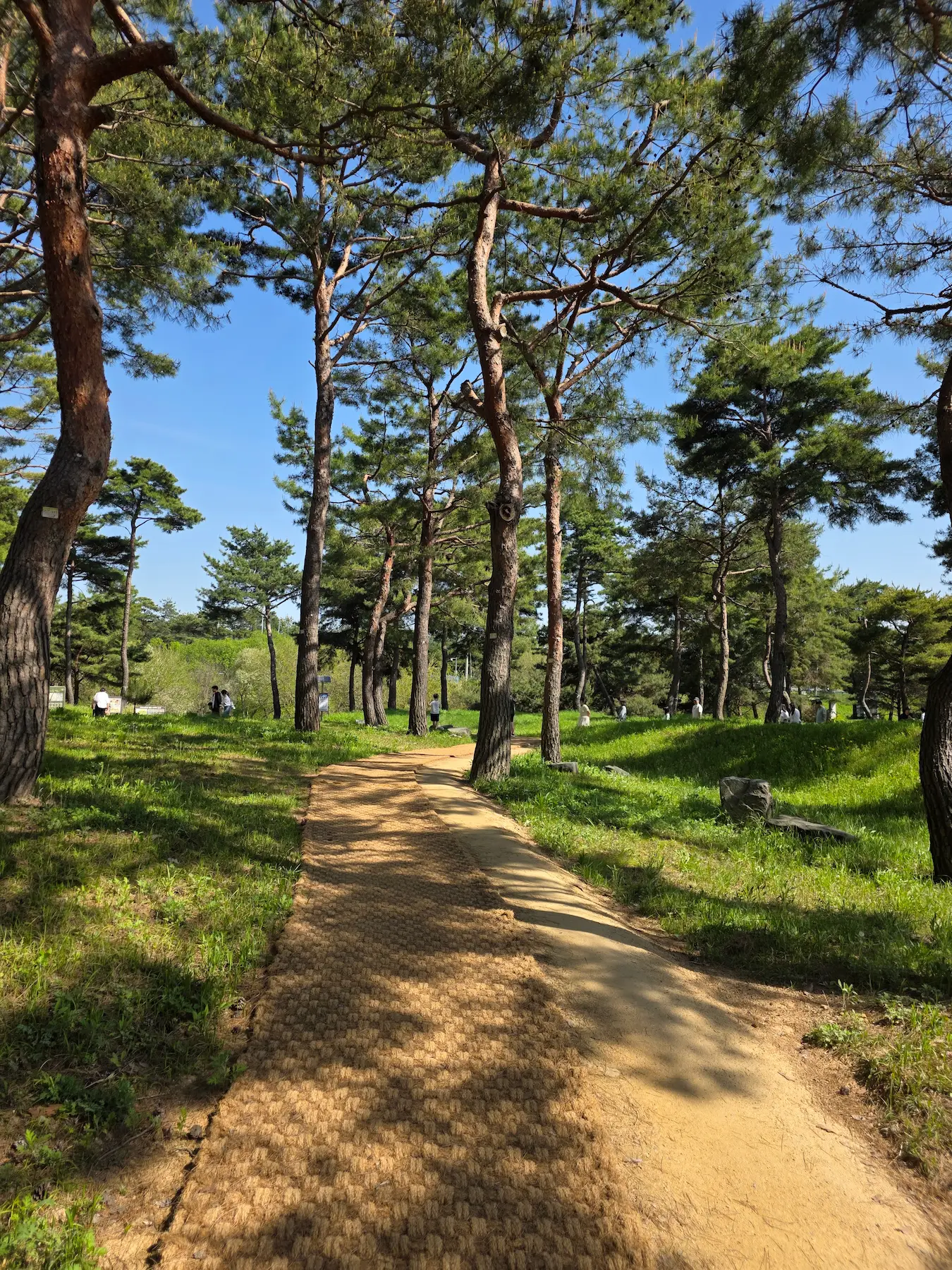 Gongju Travel Guide - Gomanaru