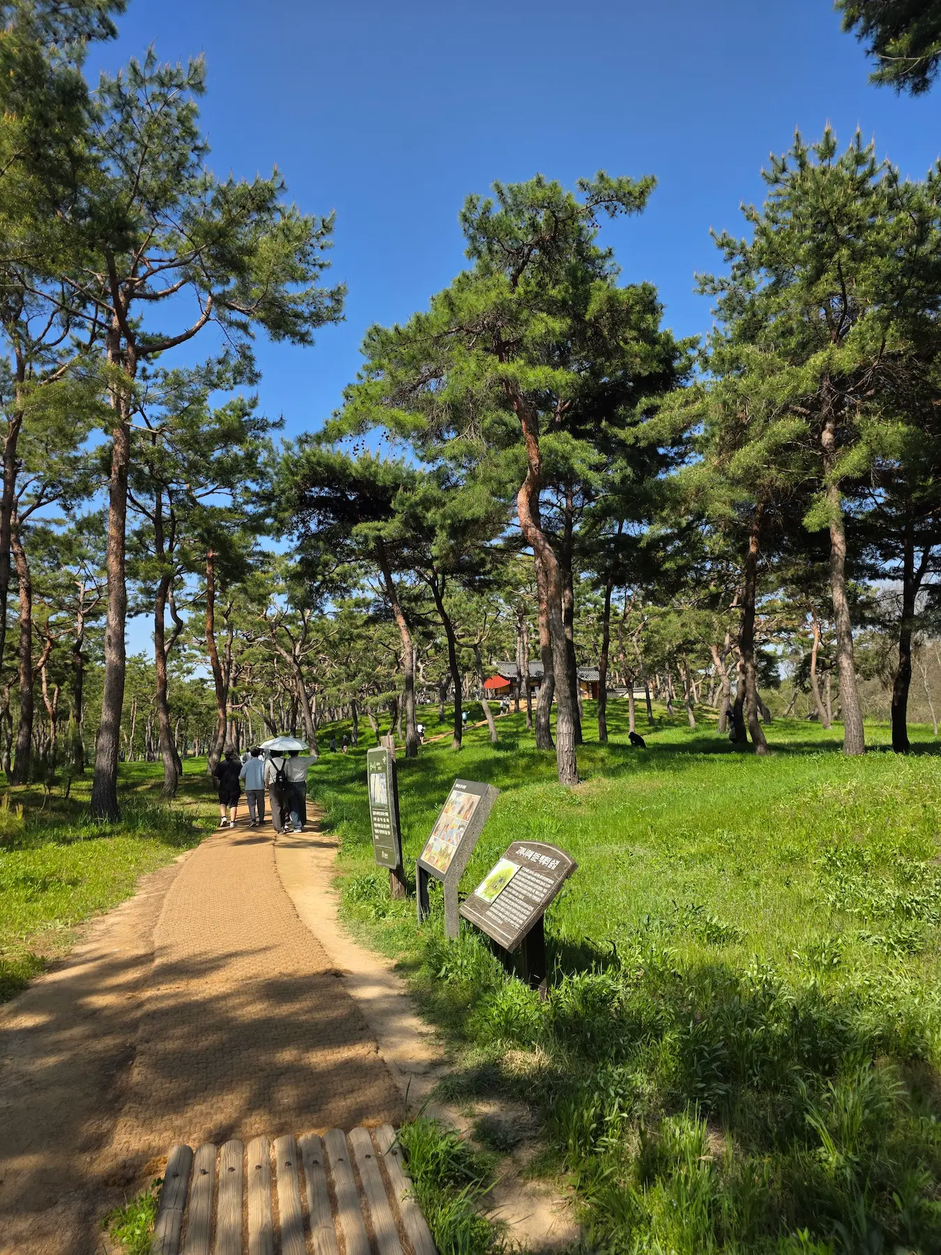 Gongju Travel Guide - Gomanaru