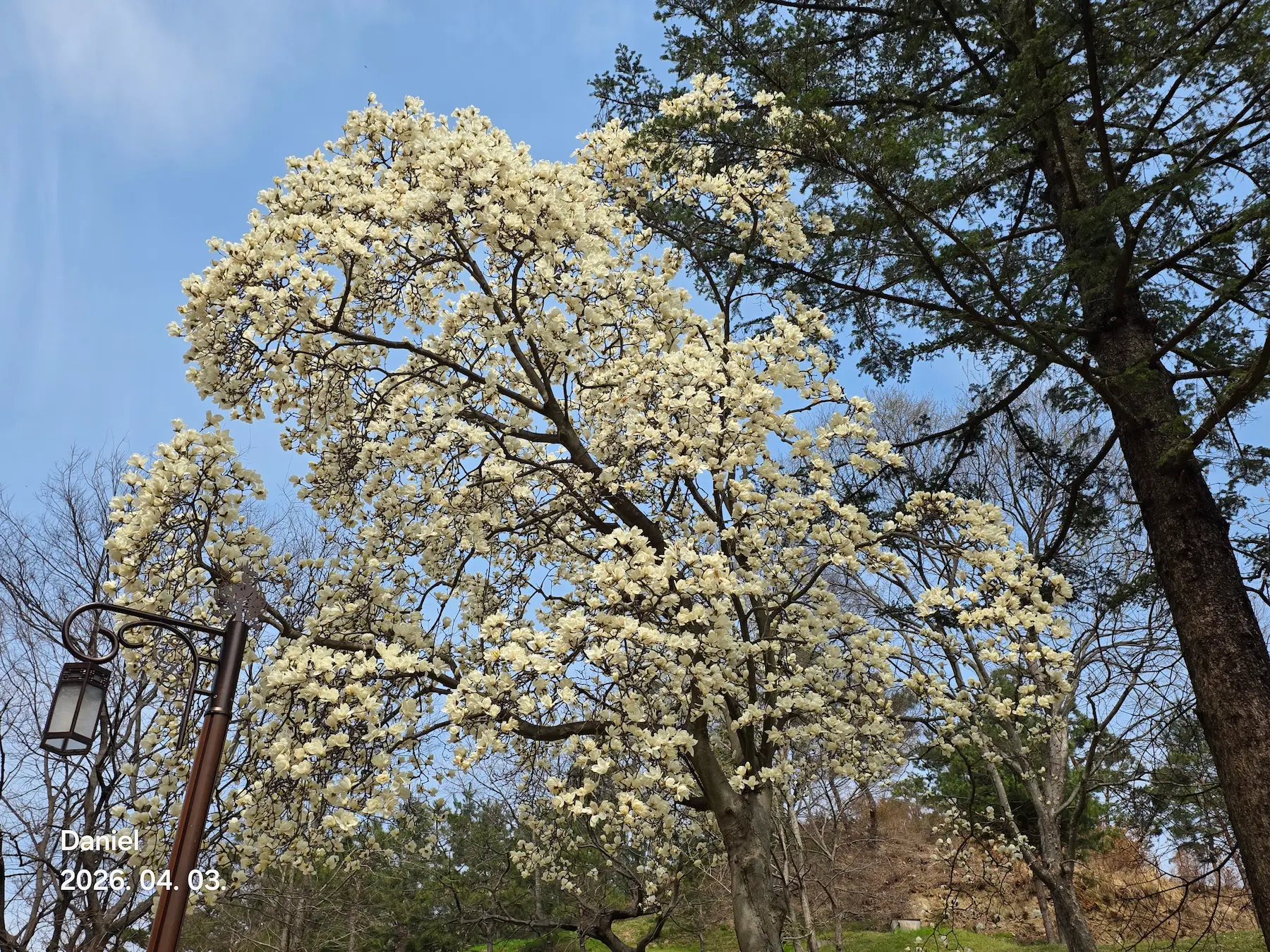 Gongju Travel Guide - Gongsanseong Fortress