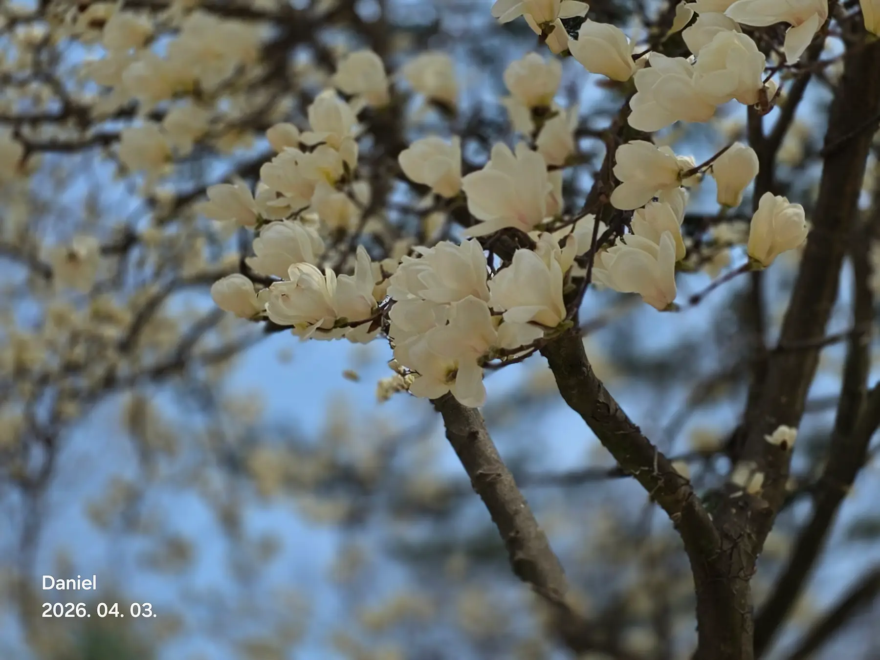 Gongju Travel Guide - Gongsanseong Fortress