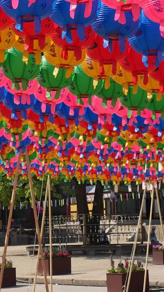 Beopjusa Temple - Lanterns