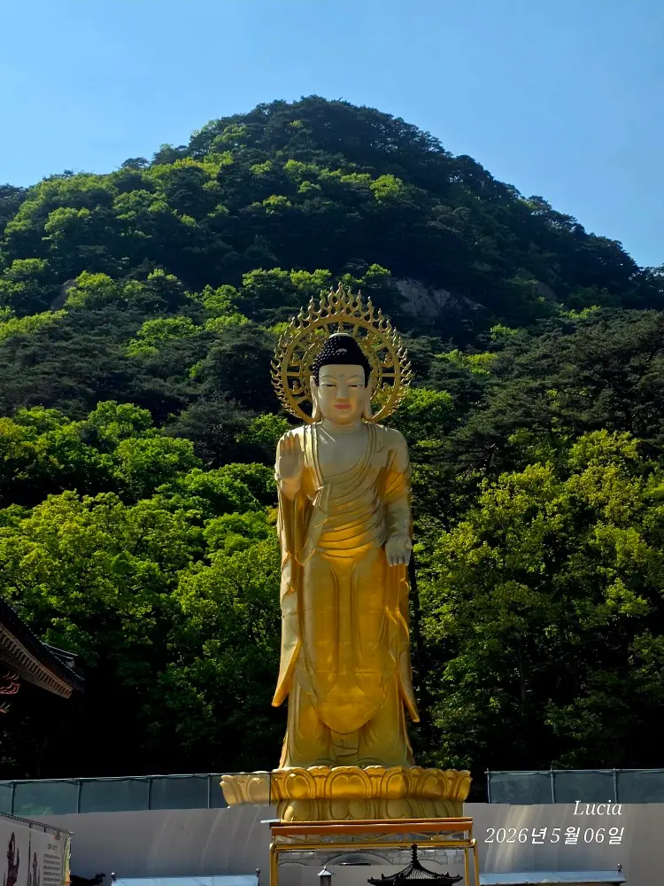 Beopjusa Temple: A Breathtaking UNESCO World Heritage Site in Korea