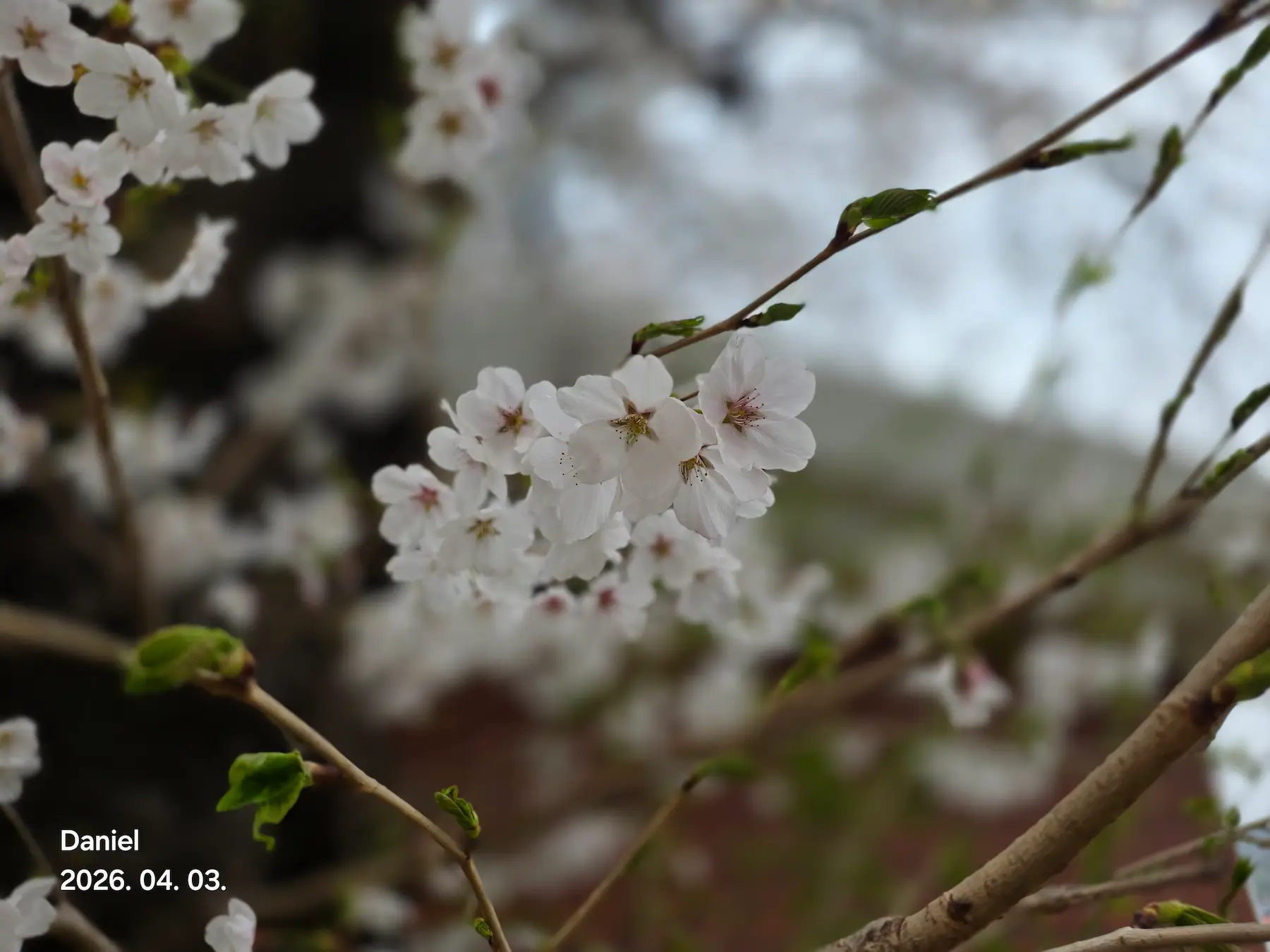 Ultimate Gongju Travel Guide: Discover Korea's Most Captivating Ancient Baekje Capital