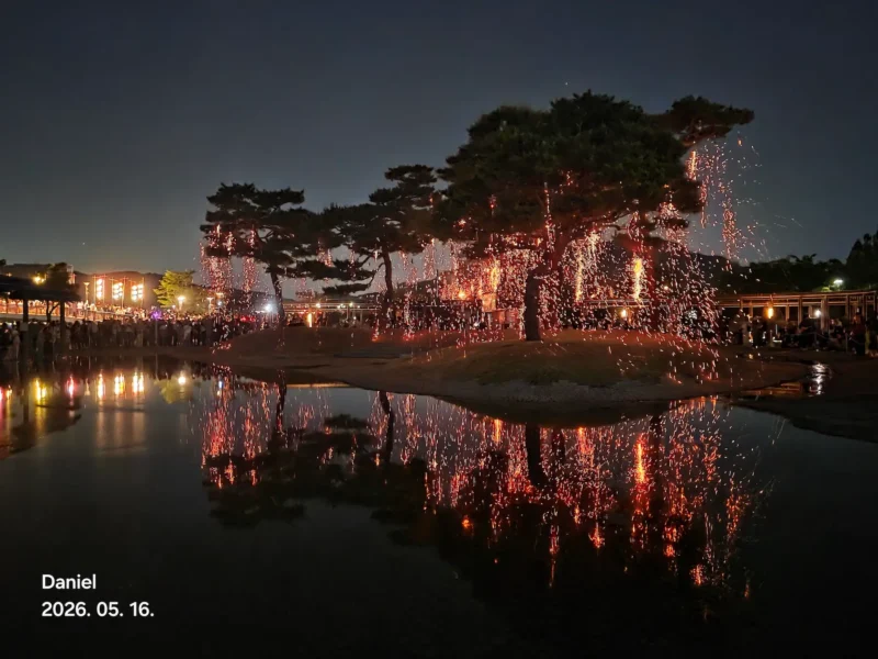 Sejong Nakwha Festival