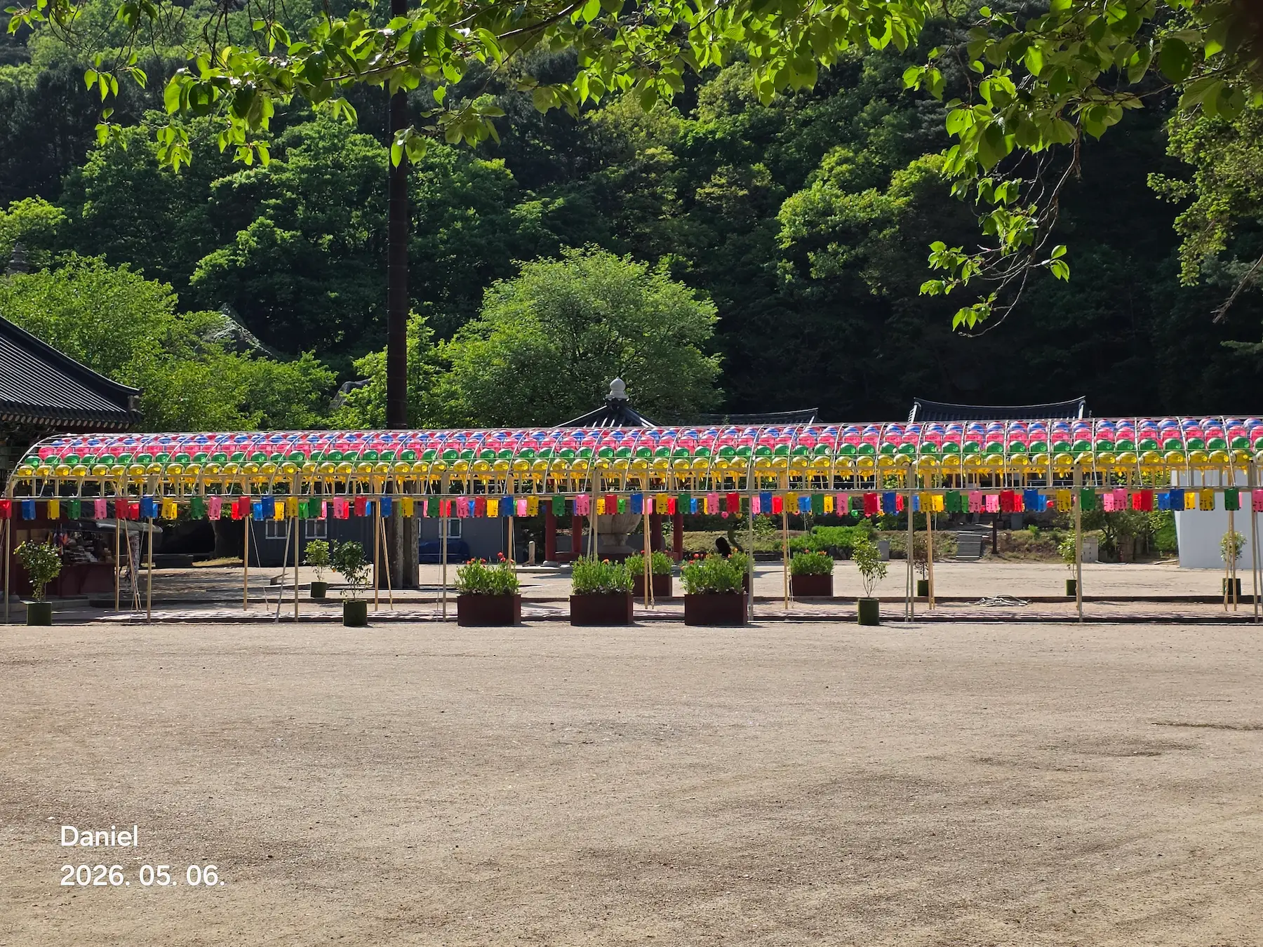 Beopjusa Temple: A Breathtaking UNESCO World Heritage Site in Korea