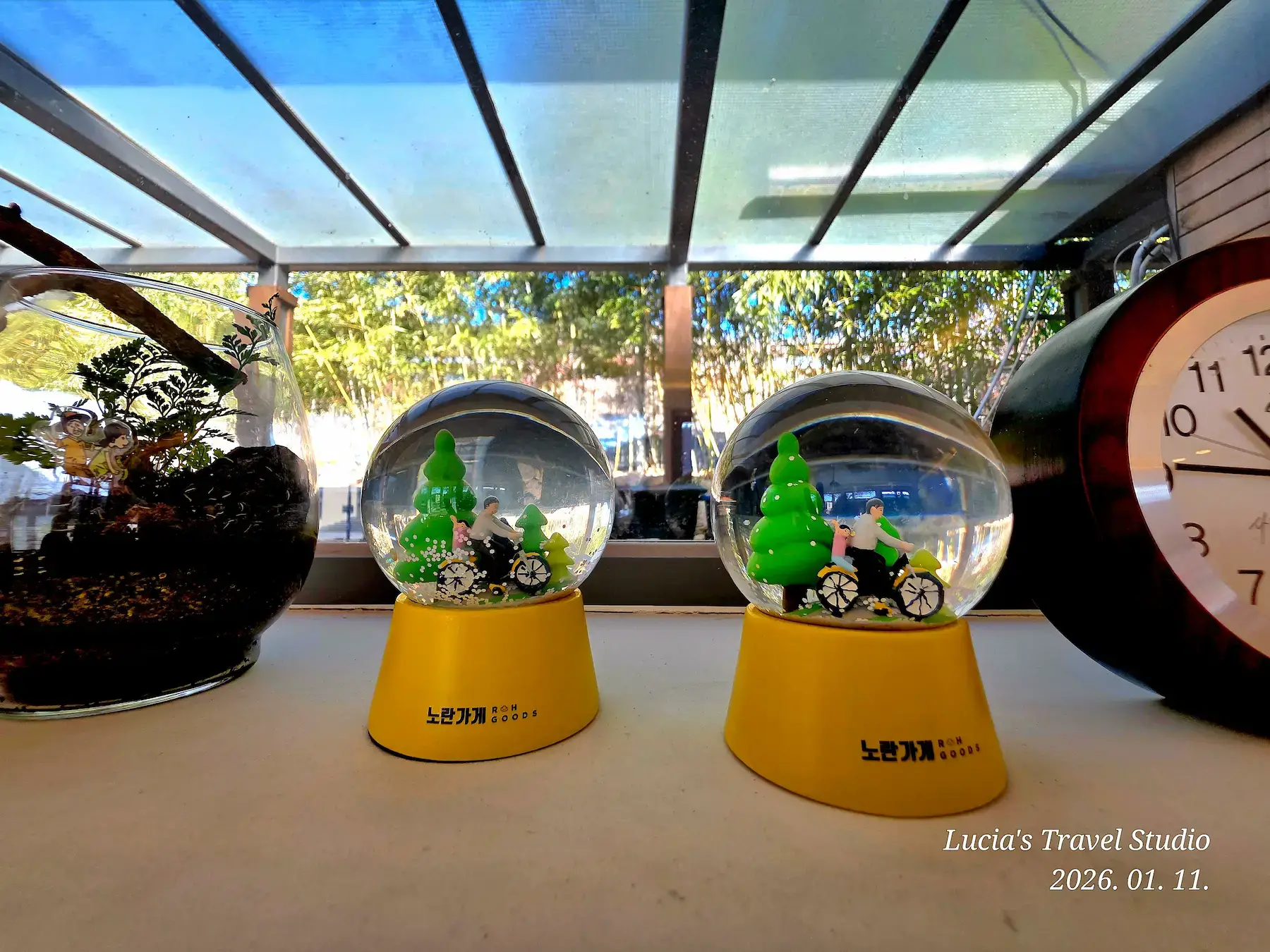 President Roh Moo-hyun