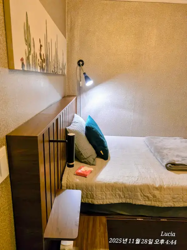 Beautiful West Seoul Tour: Discover Hidden Gems, Vibrant Mangwon Market, Relaxing Yeontral Park & Trendy Hongdae