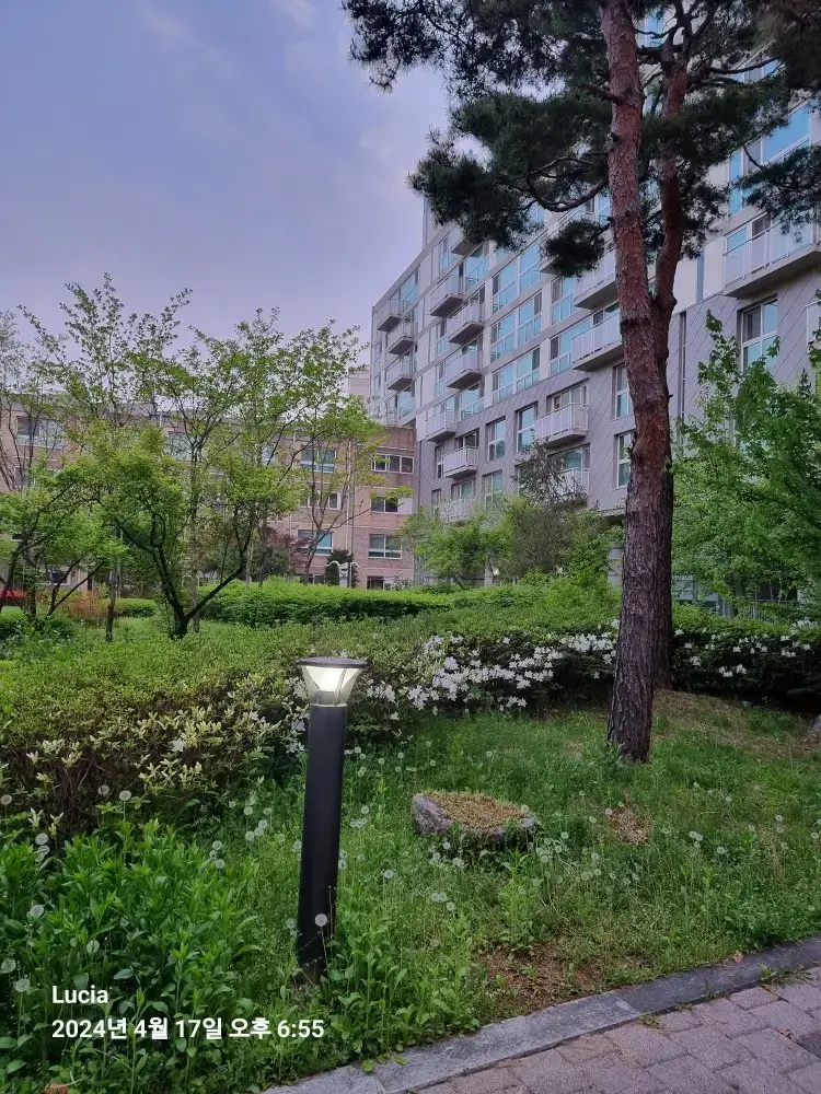 Korean Apartment Life