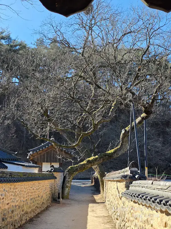 Sancheong Travel Guide