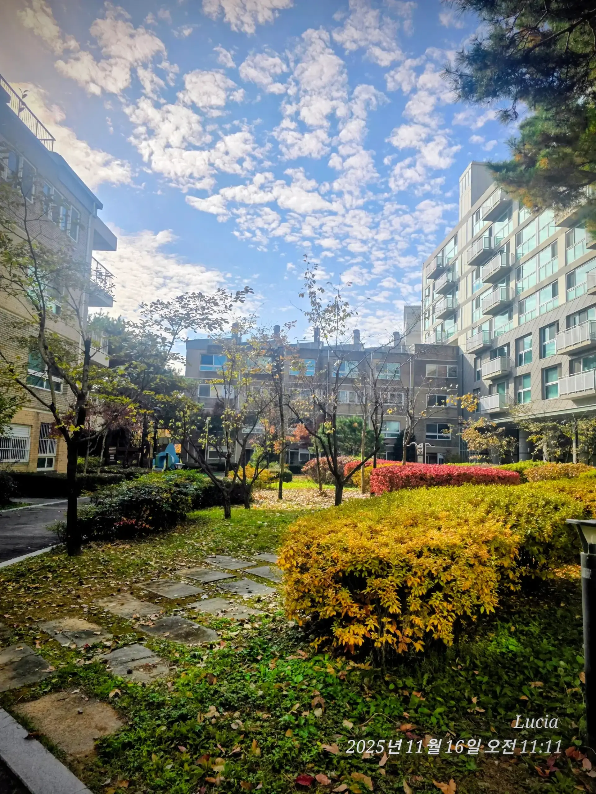 Korean Apartment Life