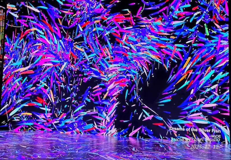 Seoul Light Gwanghwamun 2025