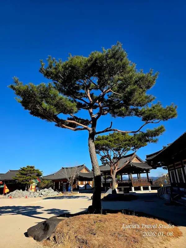 Sancheong Travel Guide: A Peaceful and Authentic Wellness Journey, Jirisan Healing and Gotgam