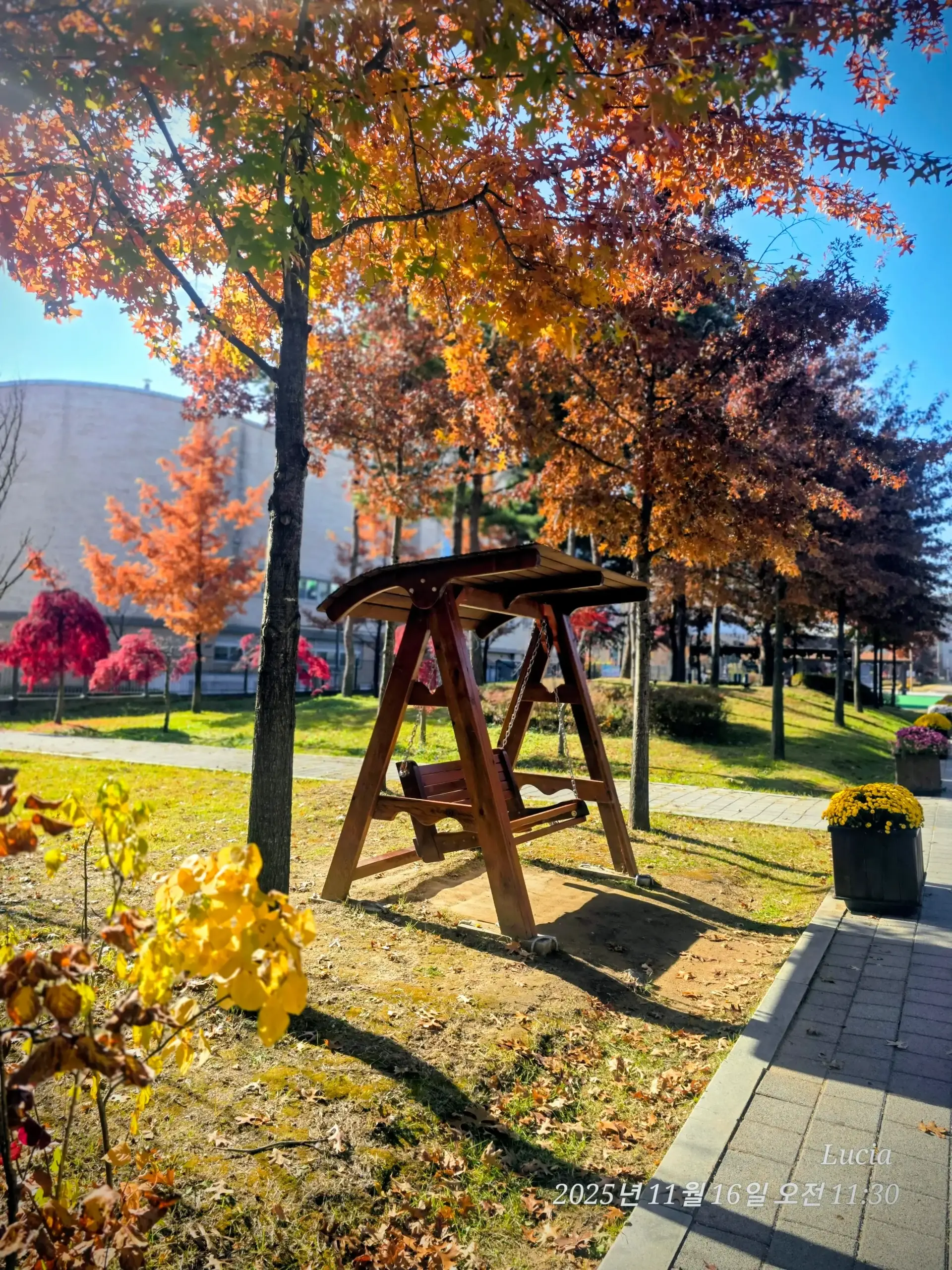 Korean Apartment Life