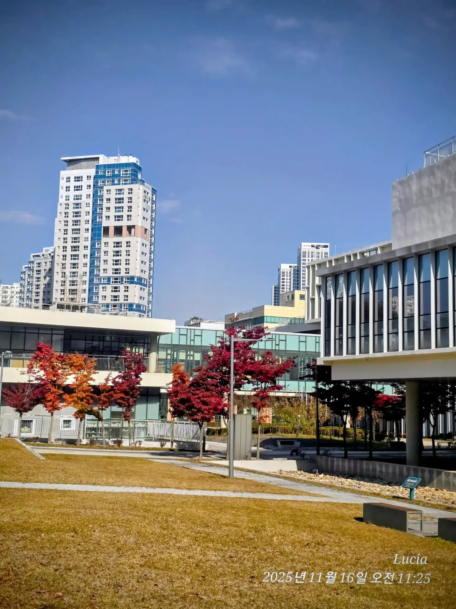 Korean Apartment Life