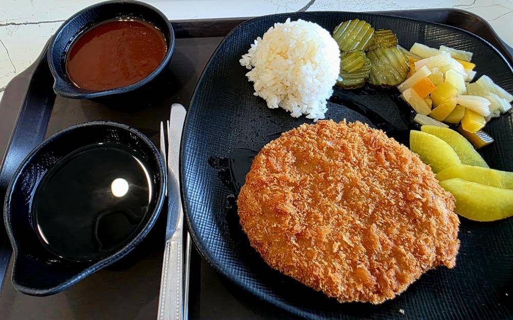 Korean highway rest stop food - pork curtlet