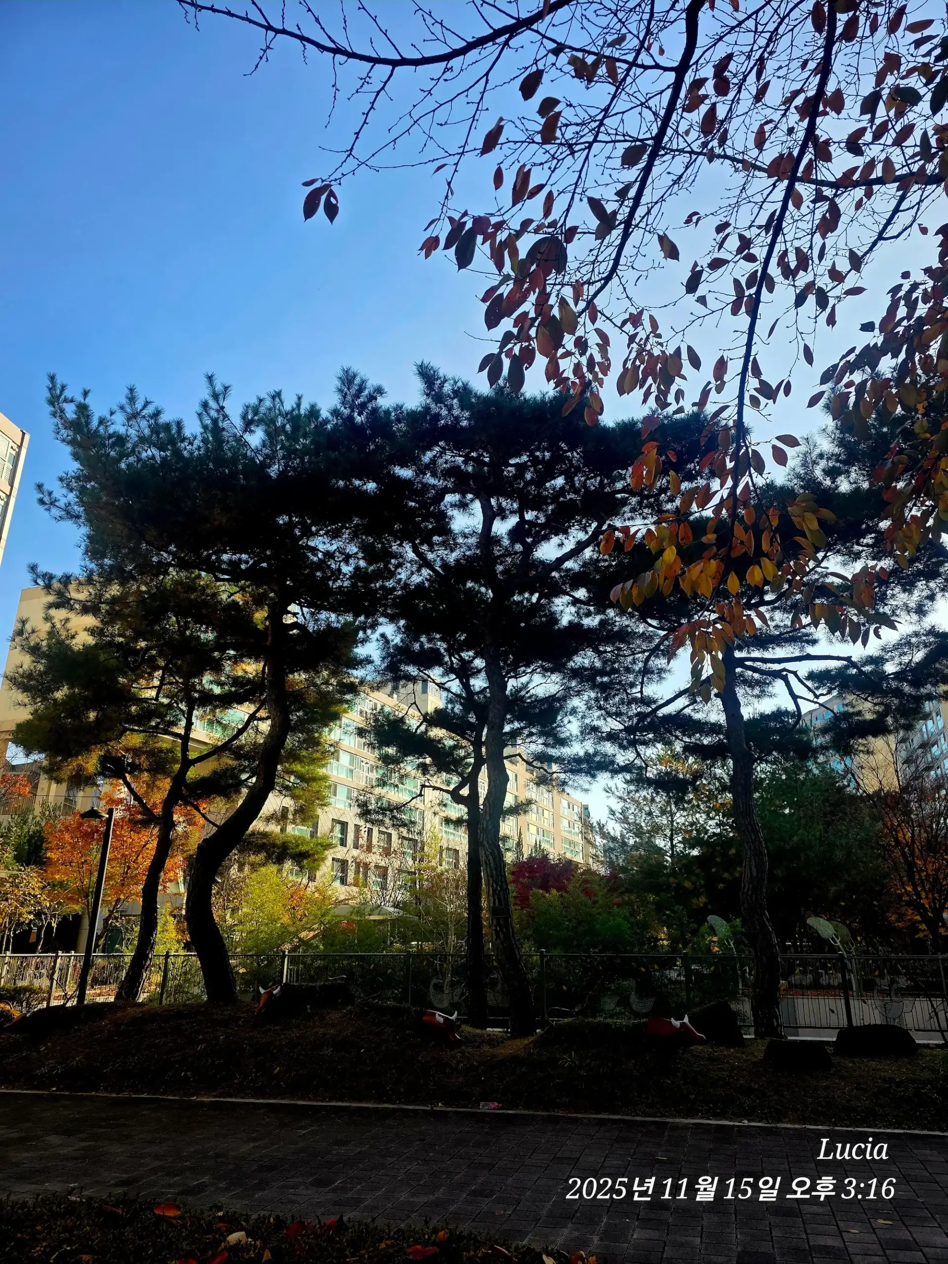 Korean Apartment in Sejong