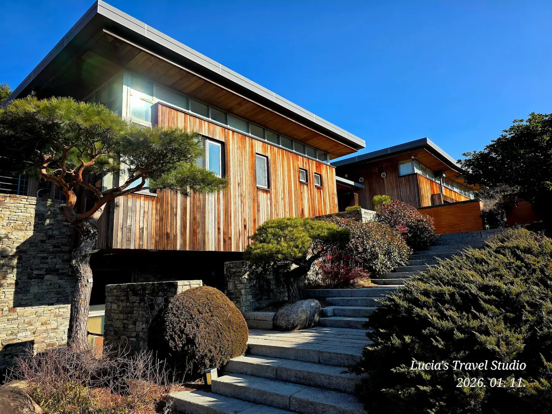 President Roh Moo-hyun