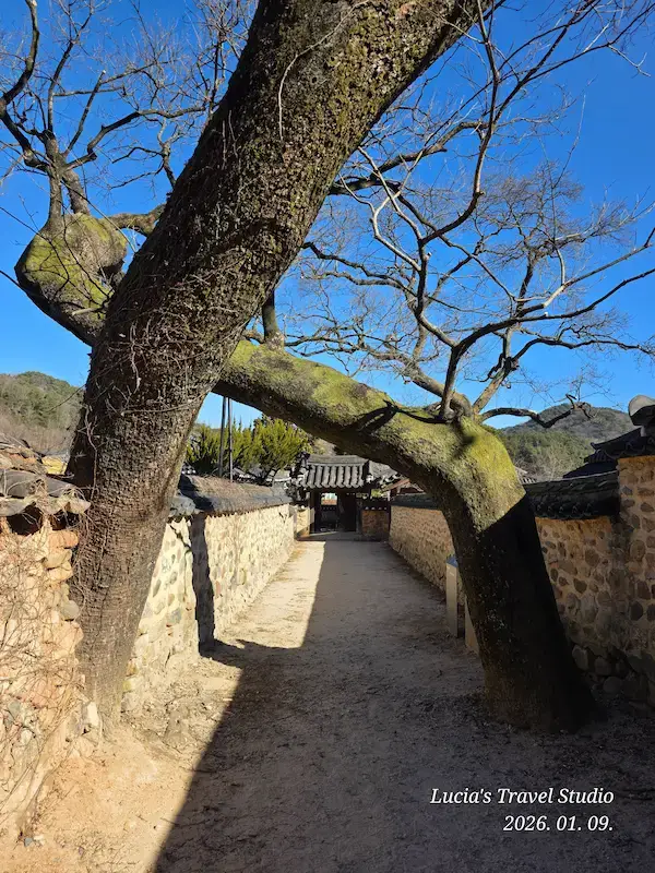 Sancheong Travel Guide