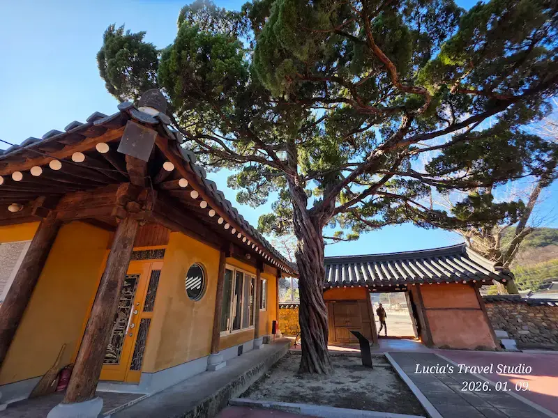 Sancheong Travel Guide: A Peaceful and Authentic Wellness Journey, Jirisan Healing and Gotgam