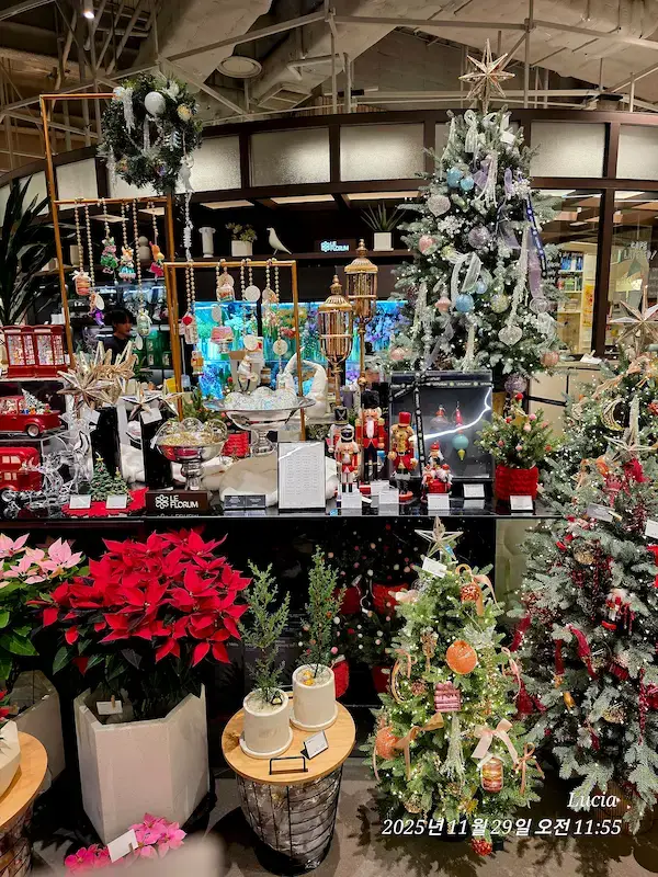 Korean Department Store