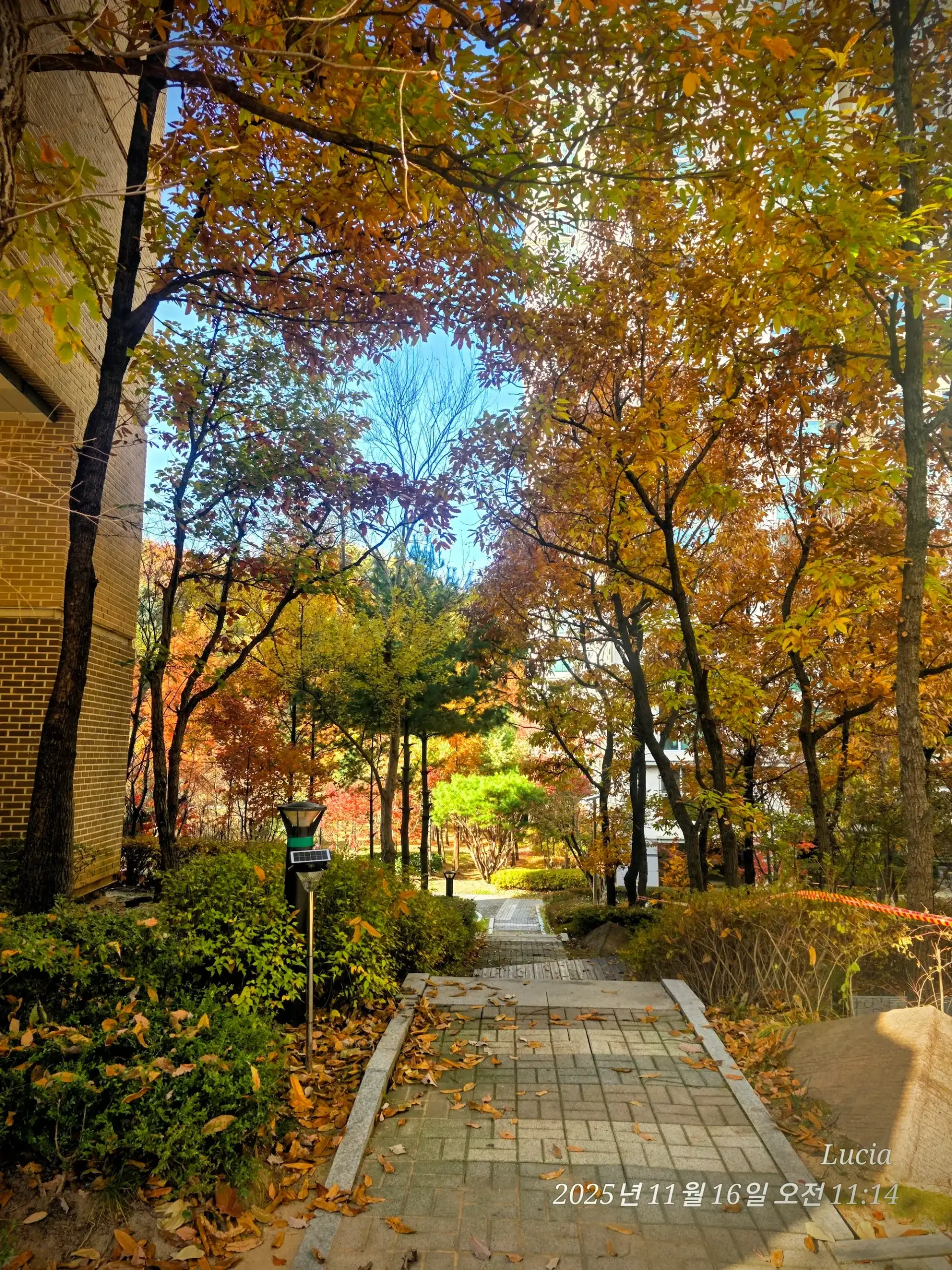 Korean Apartment in Sejong