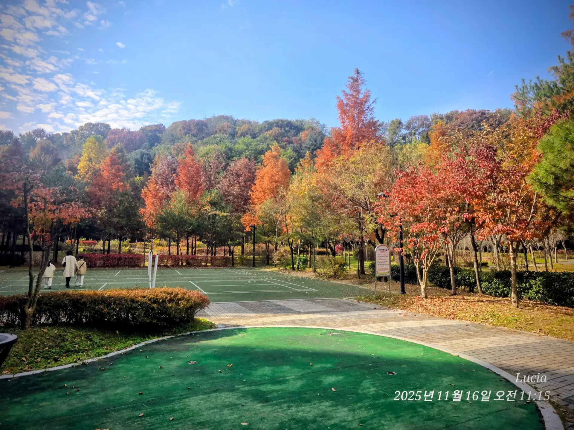 Autumn in an Apartment Garden, Sejong — A Peaceful Walk Through Korean Apartment Life